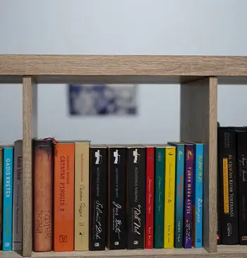 Books on Shelf